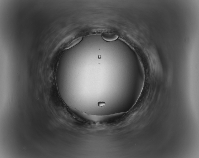 X0000086721351200704201618