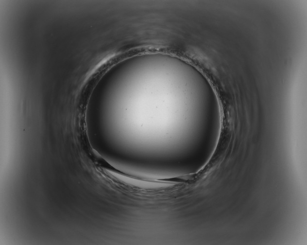 X0000086721352200704201618
