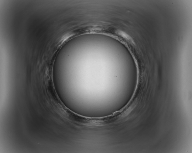 X0000086721353200704201618