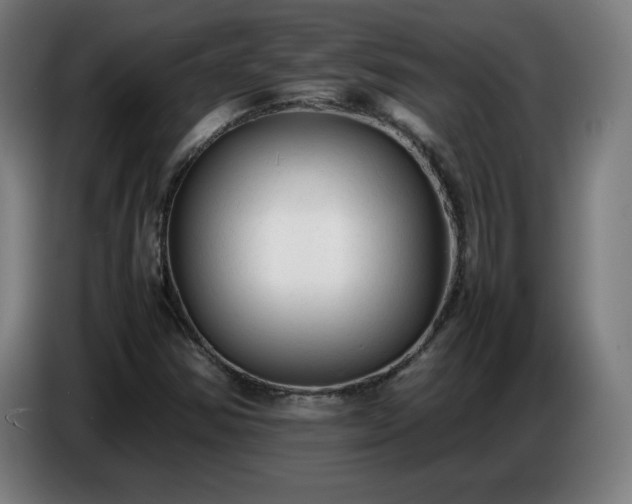 X0000086721354200704201618