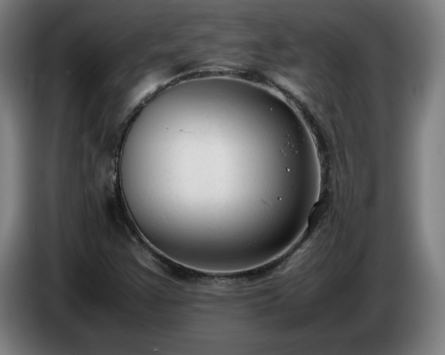 X0000086721355200704201618
