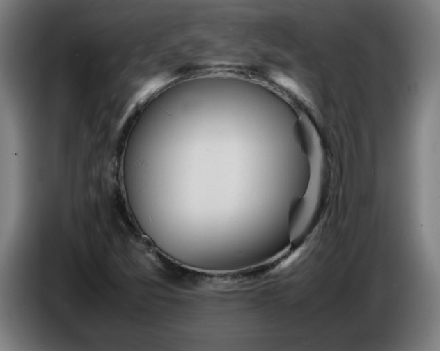 X0000086721357200704201618