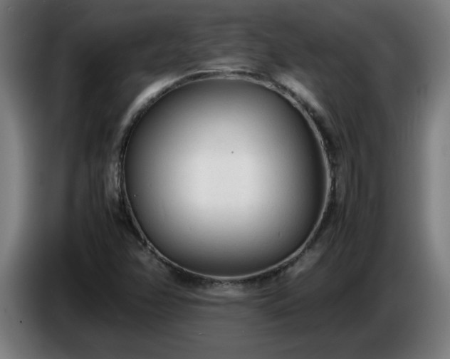 X0000086721358200704201618