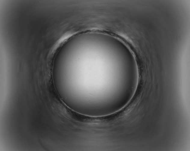 X0000086721359200704201618
