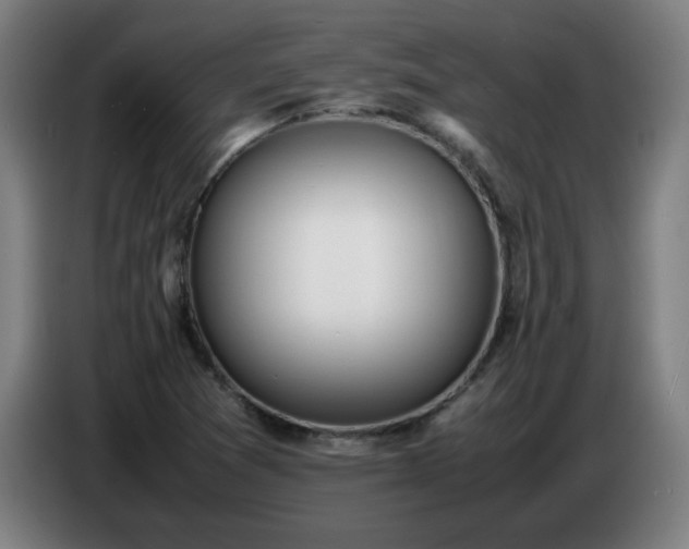 X0000086721361200704201618