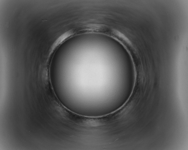 X0000086721362200704201618
