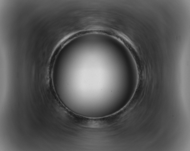 X0000086721364200704201618