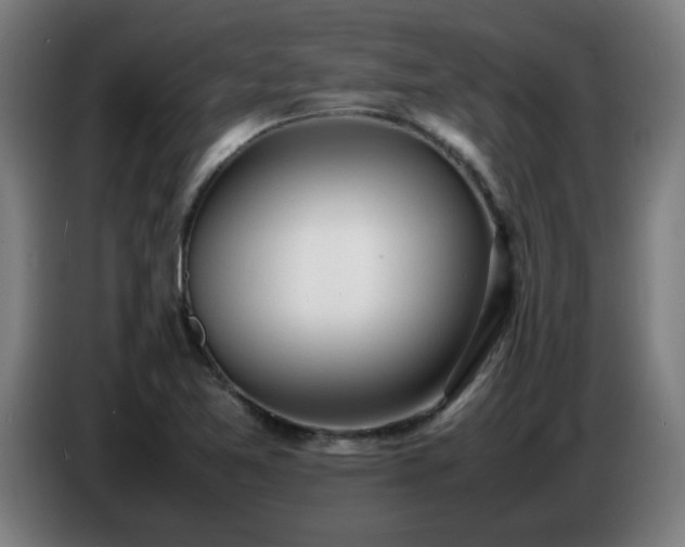 X0000086721365200704201618