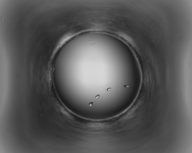 X0000086721366200704201618