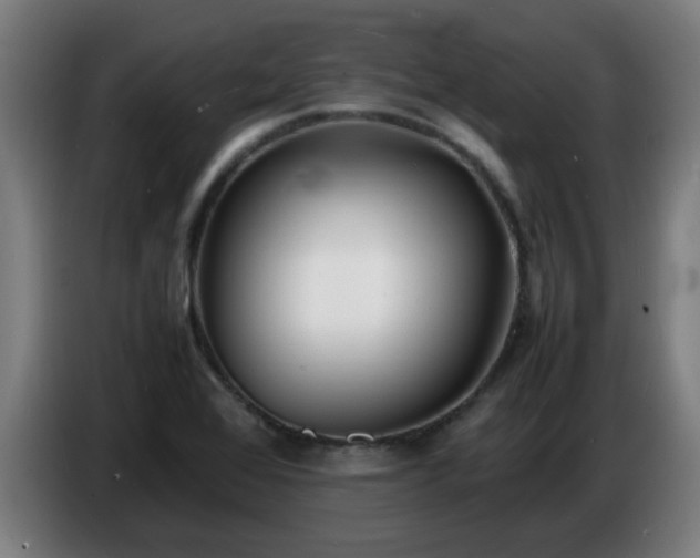 X0000086721368200704201618