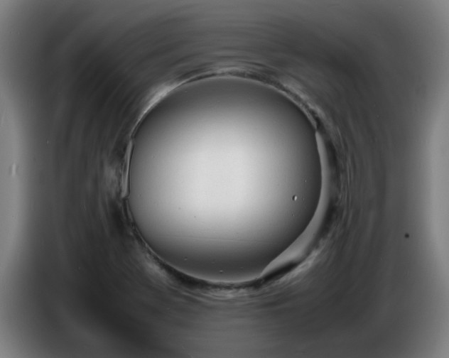 X0000086721369200704201618