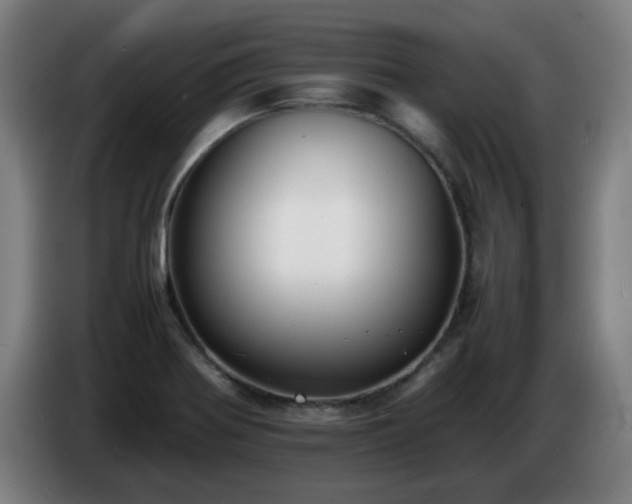 X0000086721370200704201618