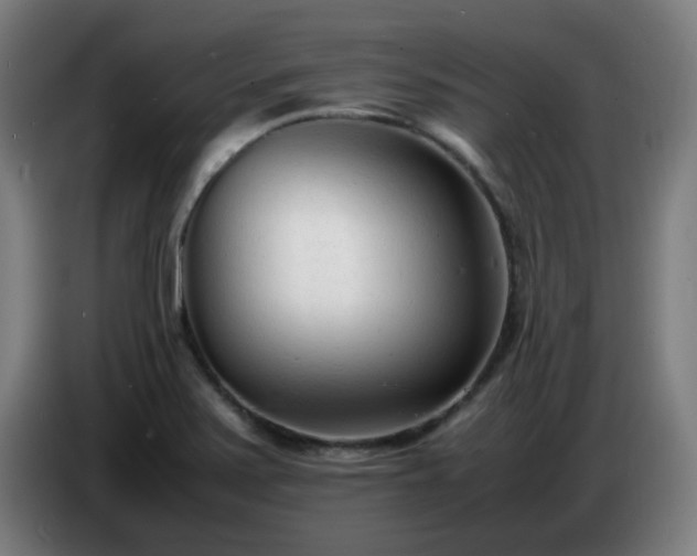 X0000086721371200704201618