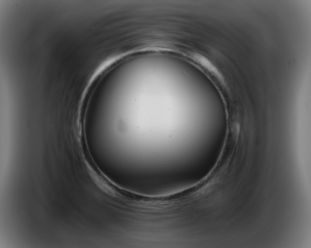 X0000086721372200704201618