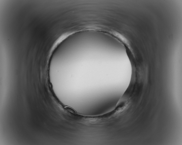 X0000086721373200704201618