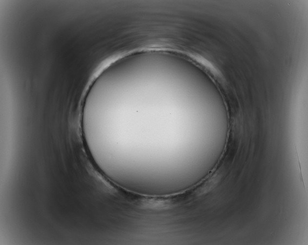 X0000086721374200704201618