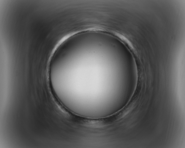 X0000086721375200704201618
