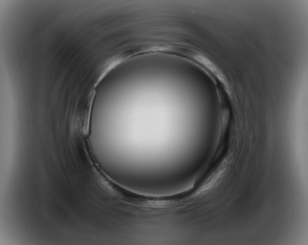 X0000086721377200704201618