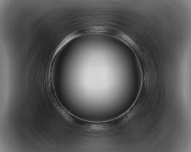 X0000086721378200704201618