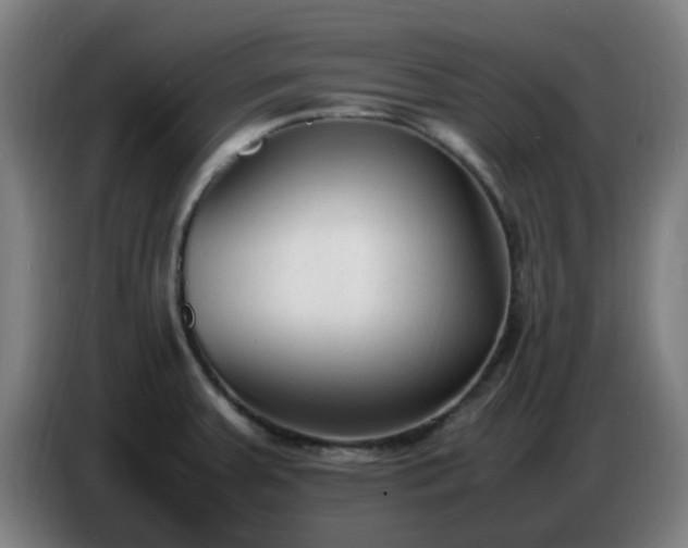 X0000086721379200704201618