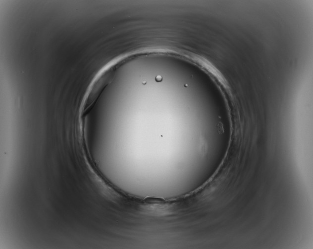 X0000086721380200704201618