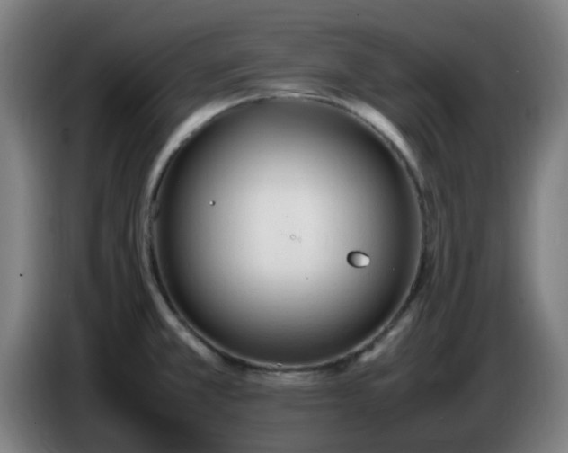 X0000086721381200704201618