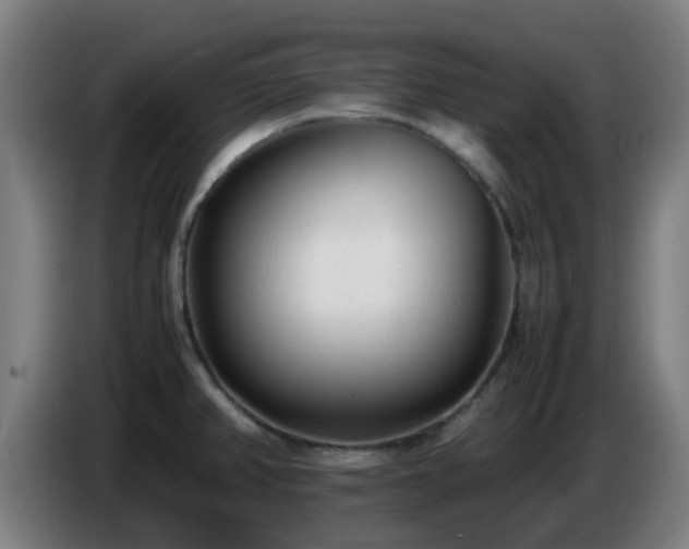 X0000086721382200704201618