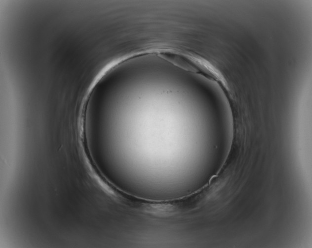 X0000086721383200704201618