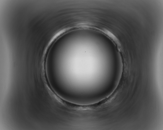 X0000086721384200704201618