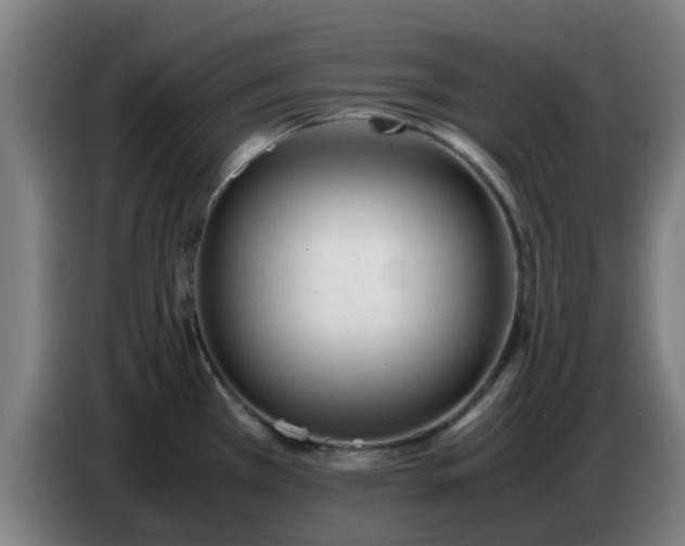 X0000086721385200704201618