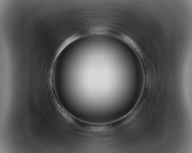 X0000086721386200704201618