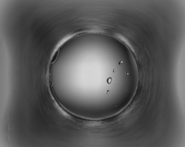 X0000086721387200704201618