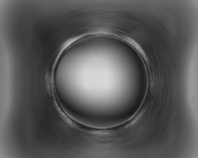X0000086721388200704201618