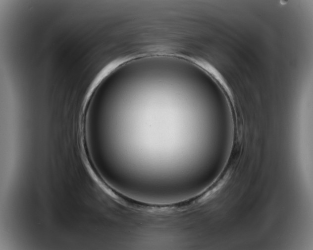 X0000086721389200704201618
