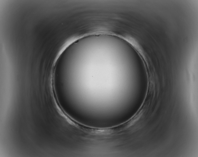 X0000086721390200704201618