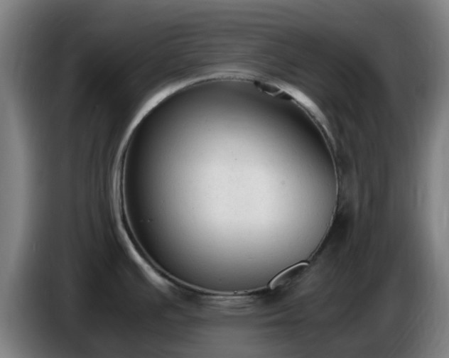X0000086721391200704201618