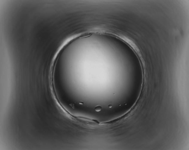 X0000086721392200704201618