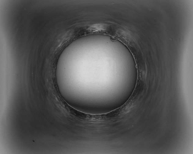 X0000086721393200704201617