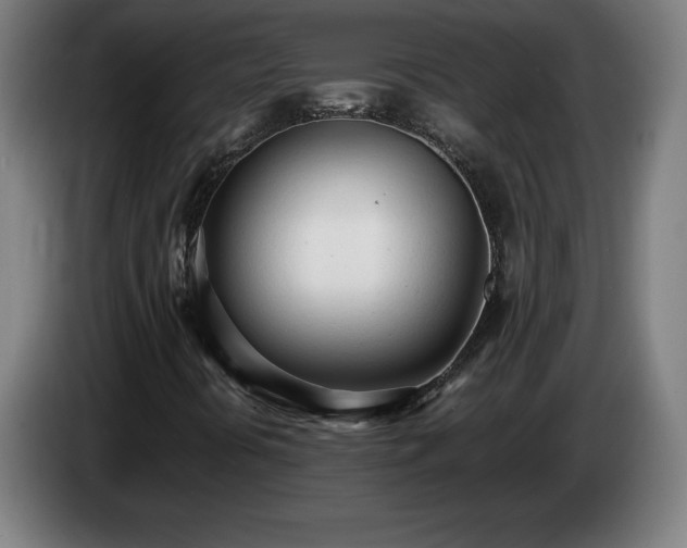 X0000086721394200704201617