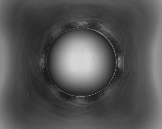 X0000086721395200704201617