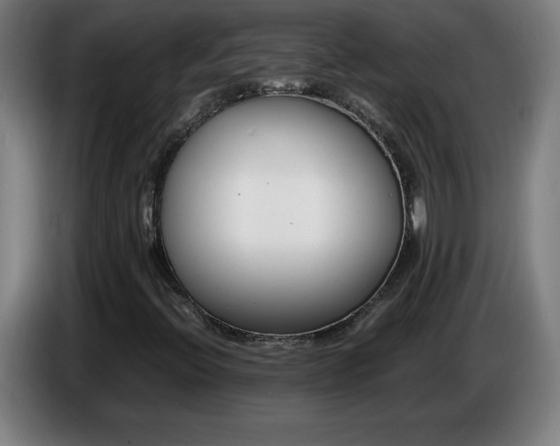 X0000086721396200704201617