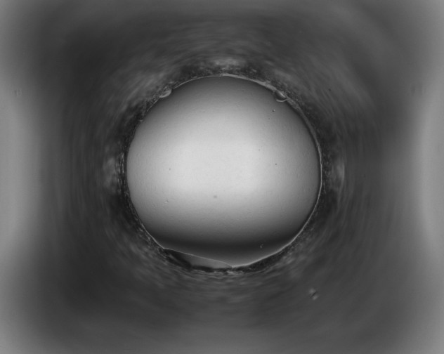 X0000086721397200704201617