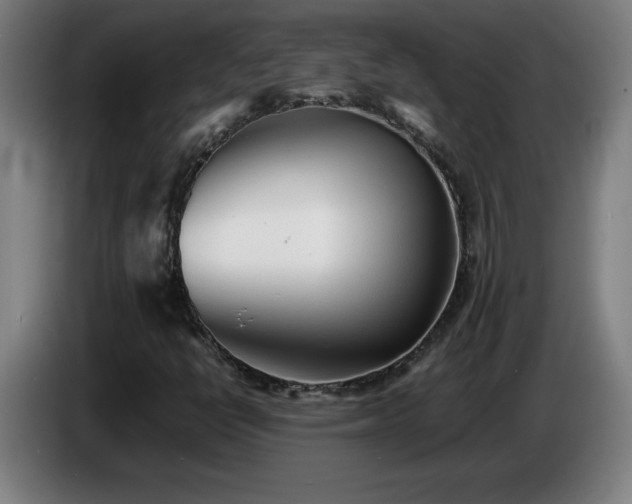 X0000086721398200704201617