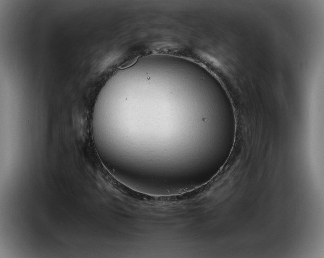 X0000086721399200704201617