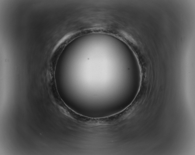 X0000086721400200704201617