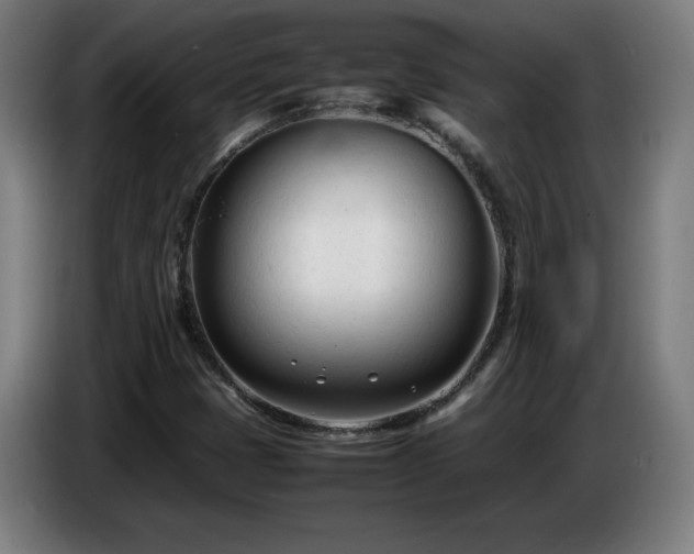 X0000086721401200704201617