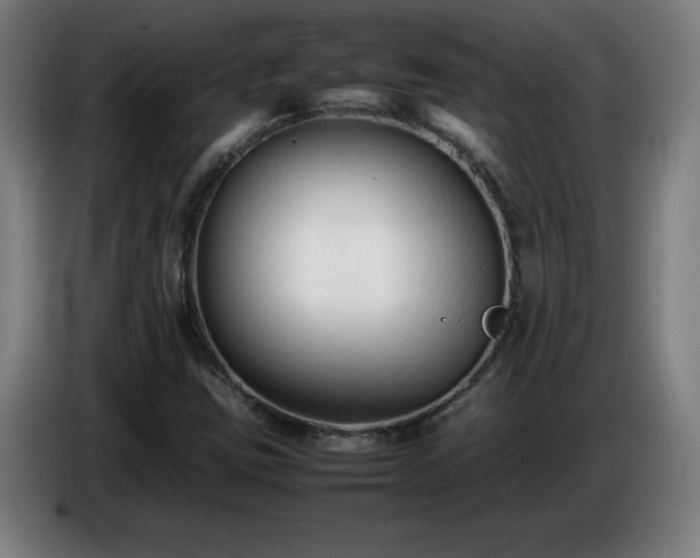 X0000086721403200704201617