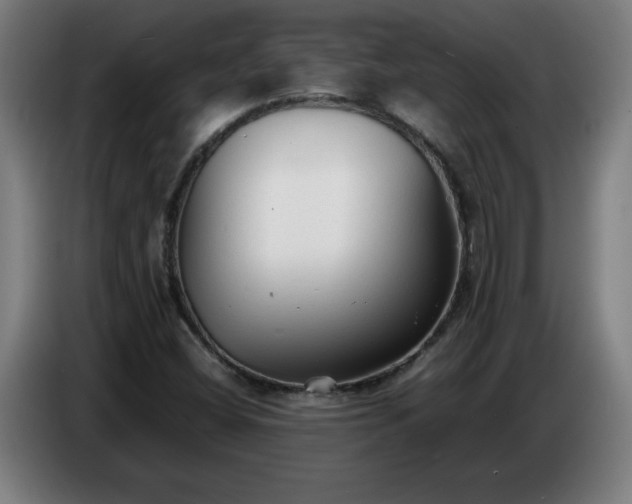 X0000086721404200704201617