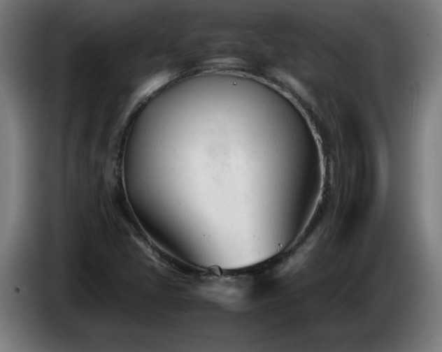 X0000086721405200704201617