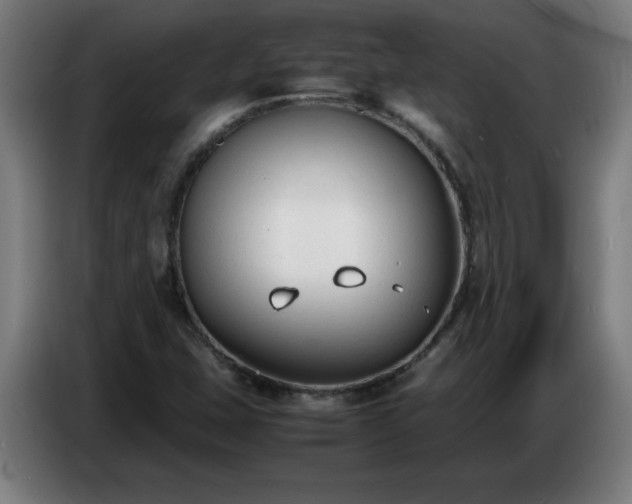 X0000086721407200704201617